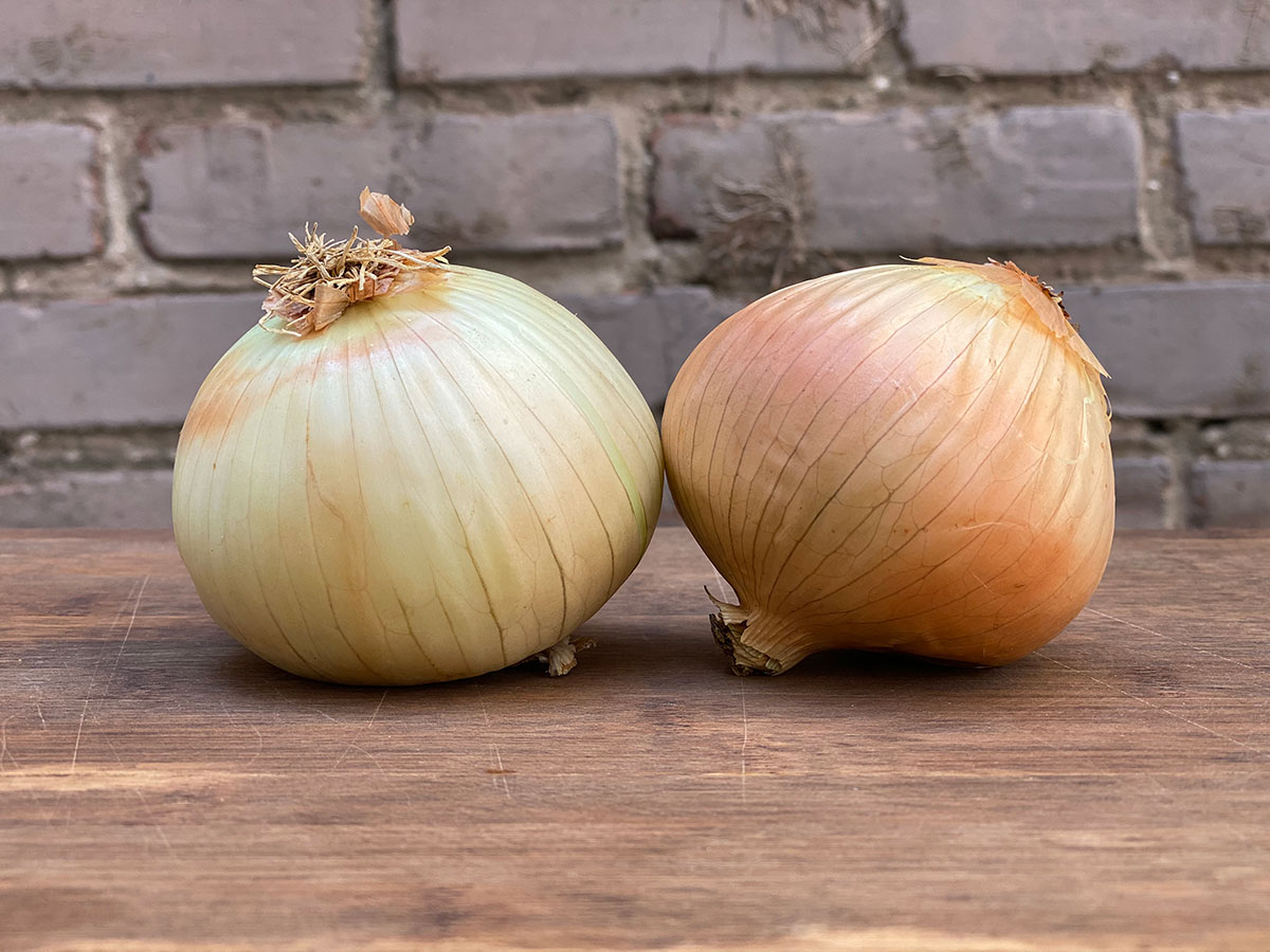 Vidalia Onion 
