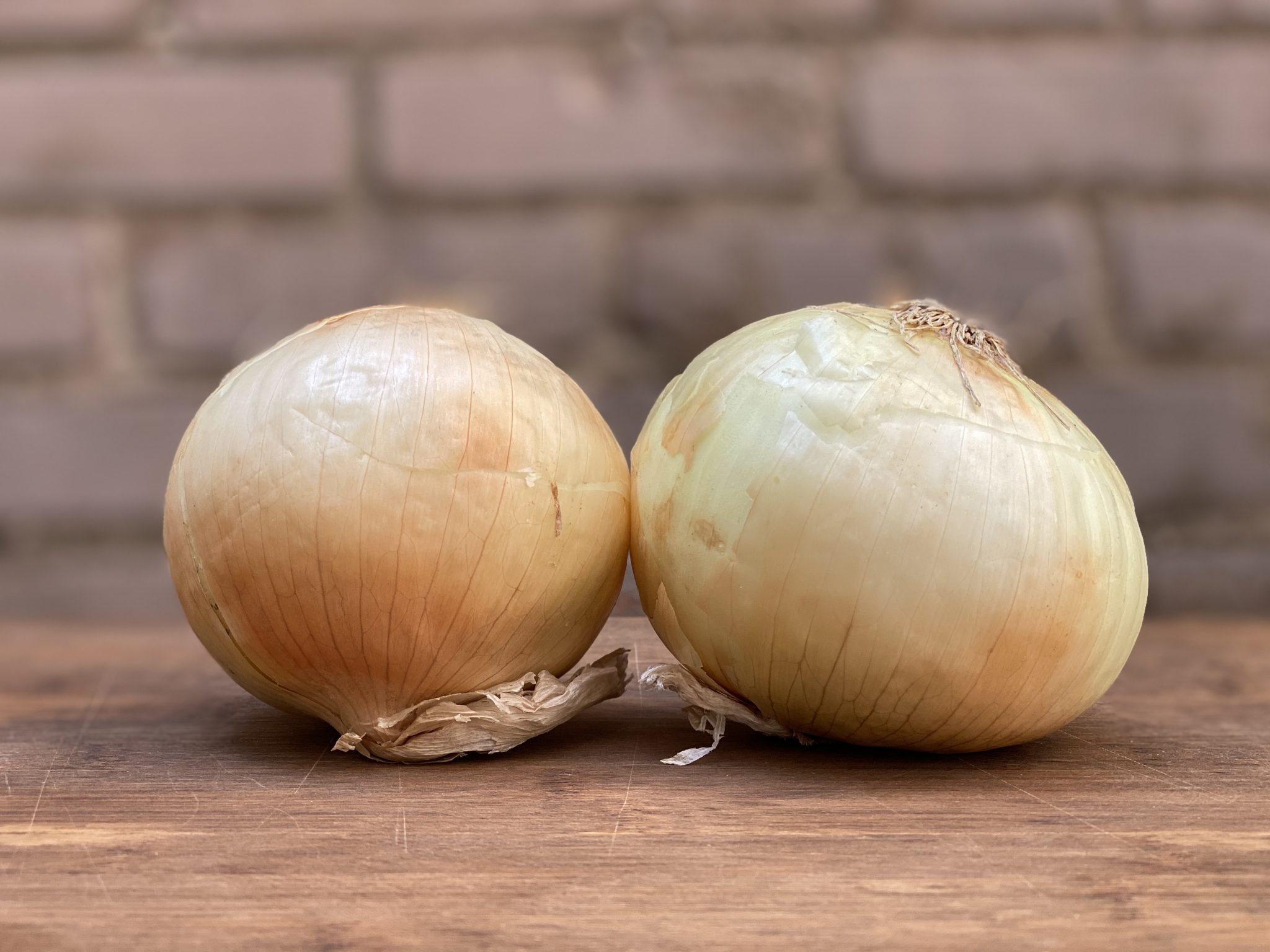 Spanish Onion, Ea Giordano Garden Groceries