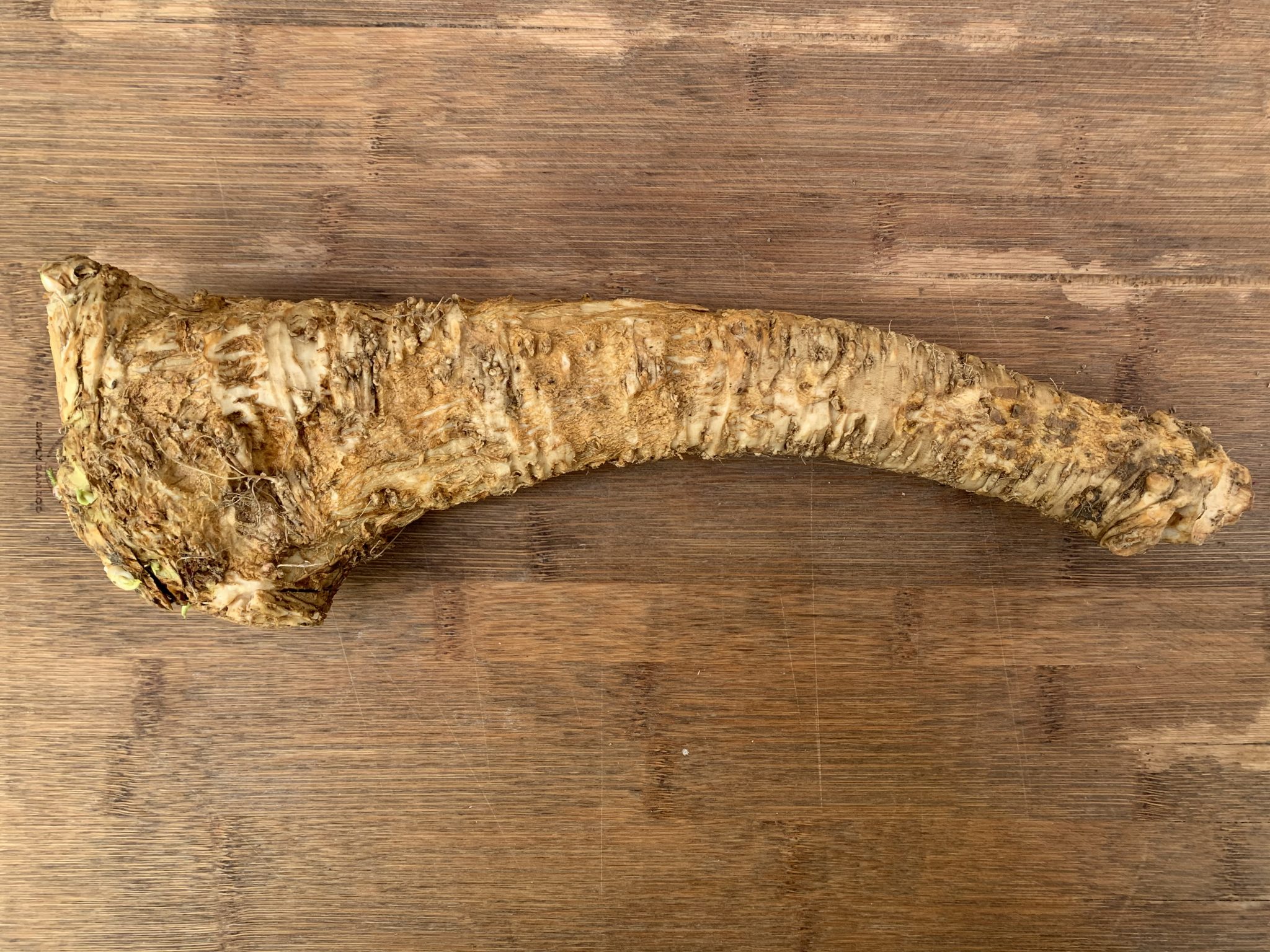 Horseradish Root Meaning In Bangla at Patricia Gafford blog